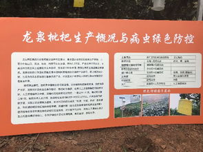 技術(shù)推廣服務(wù)中心 驅(qū)動(dòng)創(chuàng)新與發(fā)展的關(guān)鍵力量