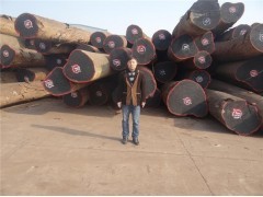 上海洪煌木業(yè)閔行經(jīng)營部 專業(yè)木材銷售，精選全球優(yōu)質(zhì)木材