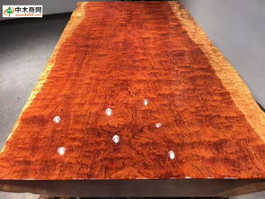 中木商網木業頭條 聚焦福建家有名木廠家直銷，一站式獲取木材批發價格、產品圖片與品牌信息